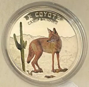 2013 jWF[ 1000 Fr COYOTE Vo[ v[t J[RC Predators Only1000 