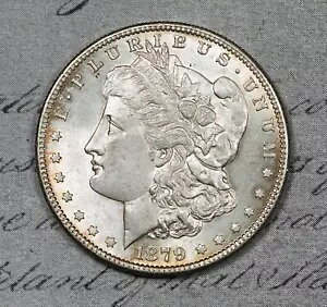 1879-S �����K�� �h�� ������ MS �W�F�~�[ ��肠��܂���! #CSR12