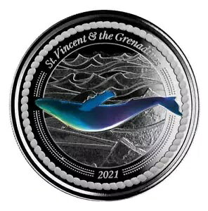 2021 1 IX ZgrZg & OifB[ NW v[t J[ .999 Vo[ RC