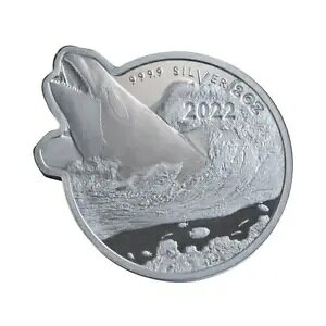 2022 \ I[V vf^[ - V` 2 IX Vo[ v[t 5 ĥ悤...