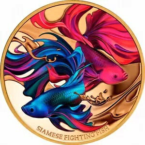 jEG 2024 V t@CeBO tBbV x^ $100 1 IX  v[t OGP?VA #1