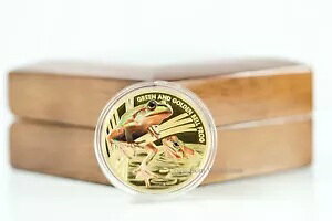 jEG 2017 100$ Ŋ뜜ŃO[ & S[hxtbOu7v1 IX