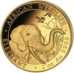 1 IX 1000 VO  \}A Gt@g 2018 BU-