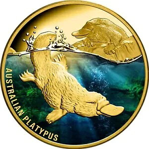 1 IX $100 jEG݃JmnV 2022 PP ؖA{bNX B0164-