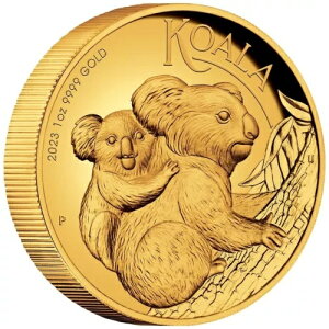 2023 RA  - I[XgA - nC[t - P[X - 1 IX PP-