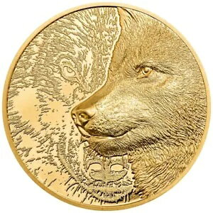 1IXS݃ChS~XeBbNEt2021Xu-