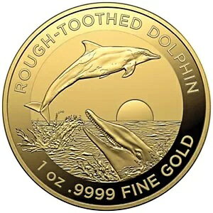 1 IX $100 I[XgA tgD[X htB  - tgD[X htB 2023-