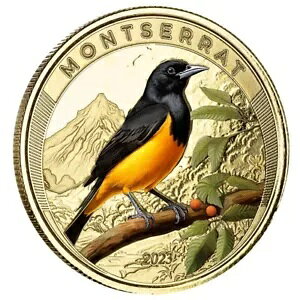 1 IX $10 EC8  - Z[gII[ 2023 ؖƔt -