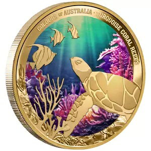 1 IX 100 h jEG I[XgA̐F - ^[RCY TS 2025 v[t-