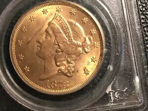 1873 Type2 20.00 PCGS Ms 62 ʁAЂǂP[X