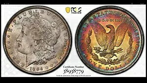 1884 O ���[�K�� �h�� PCGS �S�[���h�V�[���h MS64 Tidy House Monster ���C���{�[ �g�[��