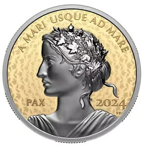 2024 Ji_ $200 ah݁Av`ibLA1.066 IX