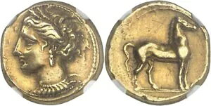 J^S鍑 EL/S[h Xe[^[ (IO 320 ` 280 N) - O[h NGC Choice VF 5/5 - 3/5