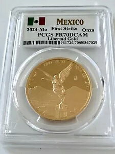 LVR - 2024 - x^ - 1 IX v[t - t@[Xg XgCN - PGCS PR70 DCAM-