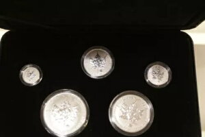 �J�i�_ 2004 �V���o�[ ���[�v�� ���[�t �v���C�x�[�g �}�[�N 5 �R�C�� �Z�b�g