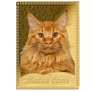 2022 gPE CN[ L $1 24K  .999 J[ L 1 h