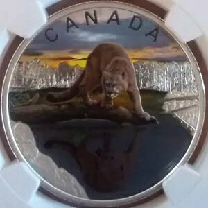 2024 h 20 Ji_ 1 IX Vo[ .999 v[t NGC PF69 UCAM N[K[߂ăRC[X