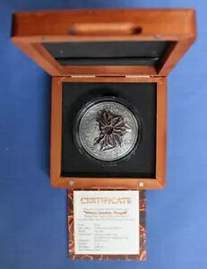 2015 jEG 2 IX Vo[ $2 RCuFXBIΎR - |yCvCOA tP[X