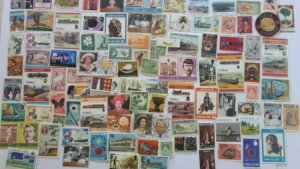 CMX̑m؎RNV - 100`5000ނ̐؎