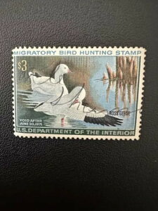 3h - 1971N - čAM_bN؎ - Be[W - ŒᗎDzȂ