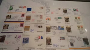 Lot 175 �J�o�[ �q��� �t�����X ���[�� �p�� �A�r�I�� �~�b�g ���t�g�|�X�g ���E���ōō��̉��l