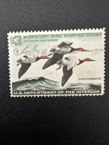 3h - 1966N - čAM_bN؎ - Be[W - ŒᗎDzȂ