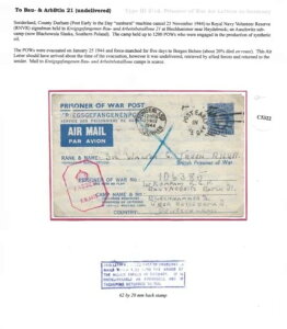 T_[hACMX猚݁EJe21̃CMXlߗցAPL 1944 (C5322)