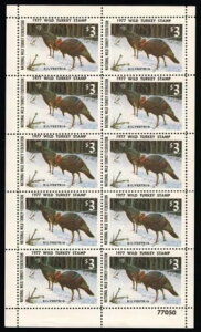 �A�����J - 1977 �N���C���h�^�[�L�[�؎�~���g�A�q���W�Ȃ��B