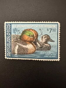 7.50h - 1980N - čAM_bN؎ - Be[W - ŒᗎDzȂ