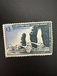 3h - 1967N - čAM_bN؎ - Be[W - ŒᗎDzȂ