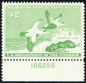 RW24A~gNH XF/X[p[u2h_bN؎ - PSEO[h95 * X`A[gEJbc