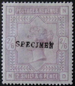 QV 2/6 CbNFAu[y[p[̌{AǍDȏ/ViBSg.175sBuNDvB