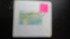 �f���炵���R���N�V���� - WDWPhilatelic (J4H) 1/25