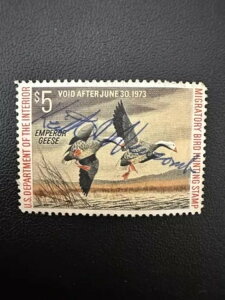 5h - 1973N - čAM_bN؎ - Be[W - ŒᗎDzȂ