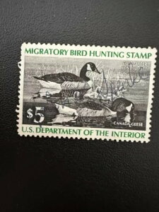 5h - 1977N - čAM_bN؎ - Be[W - ŒᗎDzȂ