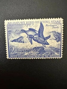 2h - 1953N - čAM_bN؎ - Be[W - ŒᗎDzȂ