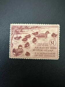 1h - 1942N - čAM_bN؎ - Be[W - ŒᗎDzȂ