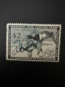 2h - 1955N - čAM_bN؎ - Be[W - ŒᗎDzȂ