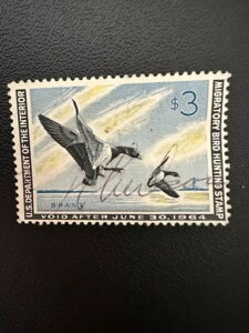 3h - 1964N - čAM_bN؎ - Be[W - ŒᗎDzȂ