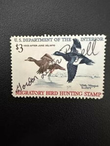 3h - 1970N - čAM_bN؎ - Be[W - ŒᗎDzȂ