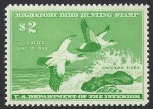 U.S.�X�R�b�g # RW24 - PSE�O���[�h XF / �X�[�p�[�u 95 - �~���g NH (P-12-2)
