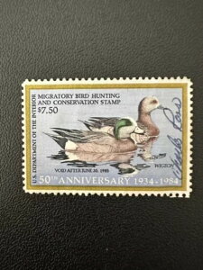 7.50h - 1984N - čAM_bN؎ - Be[W - ŒᗎDzȂ