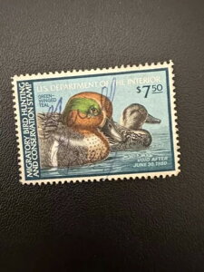 7.50h - 1980N - čAM_bN؎ - Be[W - ŒᗎDzȂ