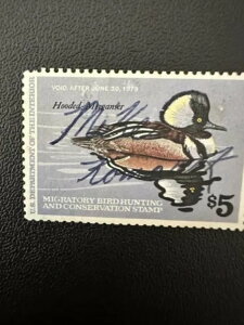 5h - 1979N - čAM_bN؎ - Be[W - ŒᗎDzȂ