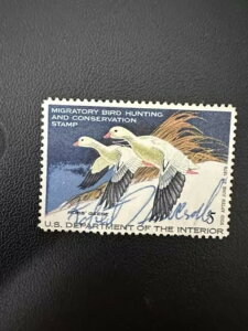 5h - 1978N - čAM_bN؎ - Be[W - ŒᗎDzȂ