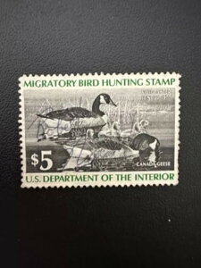 5h - 1977N - čAM_bN؎ - Be[W - ŒᗎDzȂ