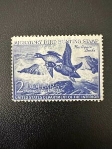 2h - 1953N - čAM_bN؎ - Be[W - ŒᗎDzȂ