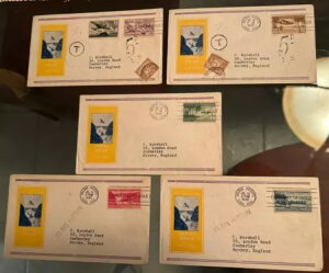 ^͒n C15-C20 CMX T[B FDC Zbgi݁j LV9041