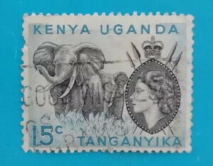 1958N p KUTA(G[) QEIIA 15Zg؎BЕtʂɈ G[