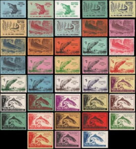 čBΓ - j[W[W[BMNHZ҂є񋏏Z҃}X؎O[v